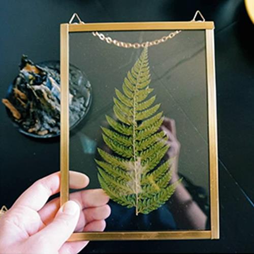 Inkjet Transparency Film Clear 8.5&#x22;x11&#x22; Sheets Pck Overhead Projector Crafts
