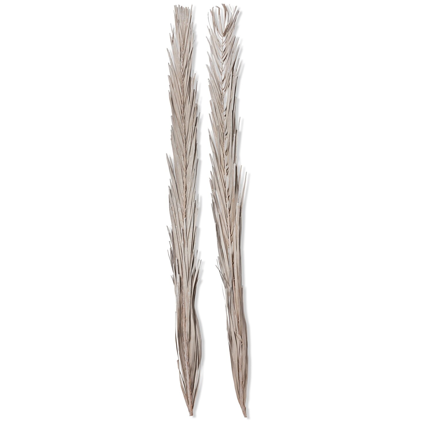 Set of 2 Khajur Leaves Artificial Stems - Gray Dried Flower Botanicals for Indoor Decor, 38" H x 3.5" L x 0.5" W