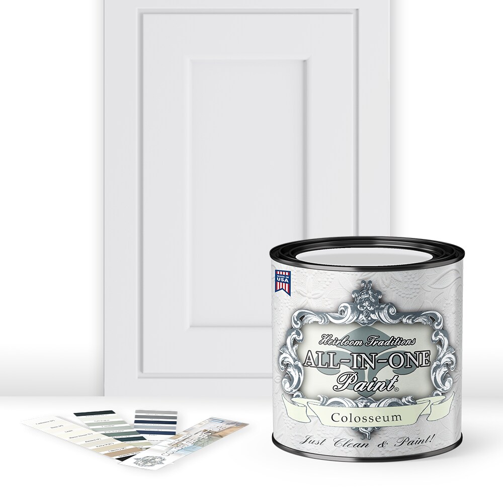 ALL-IN-ONE Paint, Bond-N-Flex Vinyl &#x26; Leather Repair Kit Paint