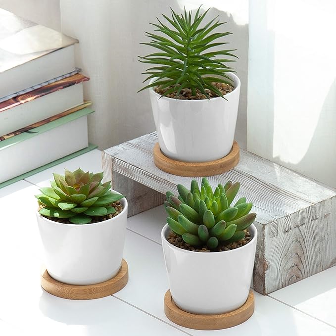 Assorted Artificial Succulent Plants - Decorative Fake Desert Plants with Pebble Fillers in White Ceramic Pots with Bamboo Saucers, Set of 3