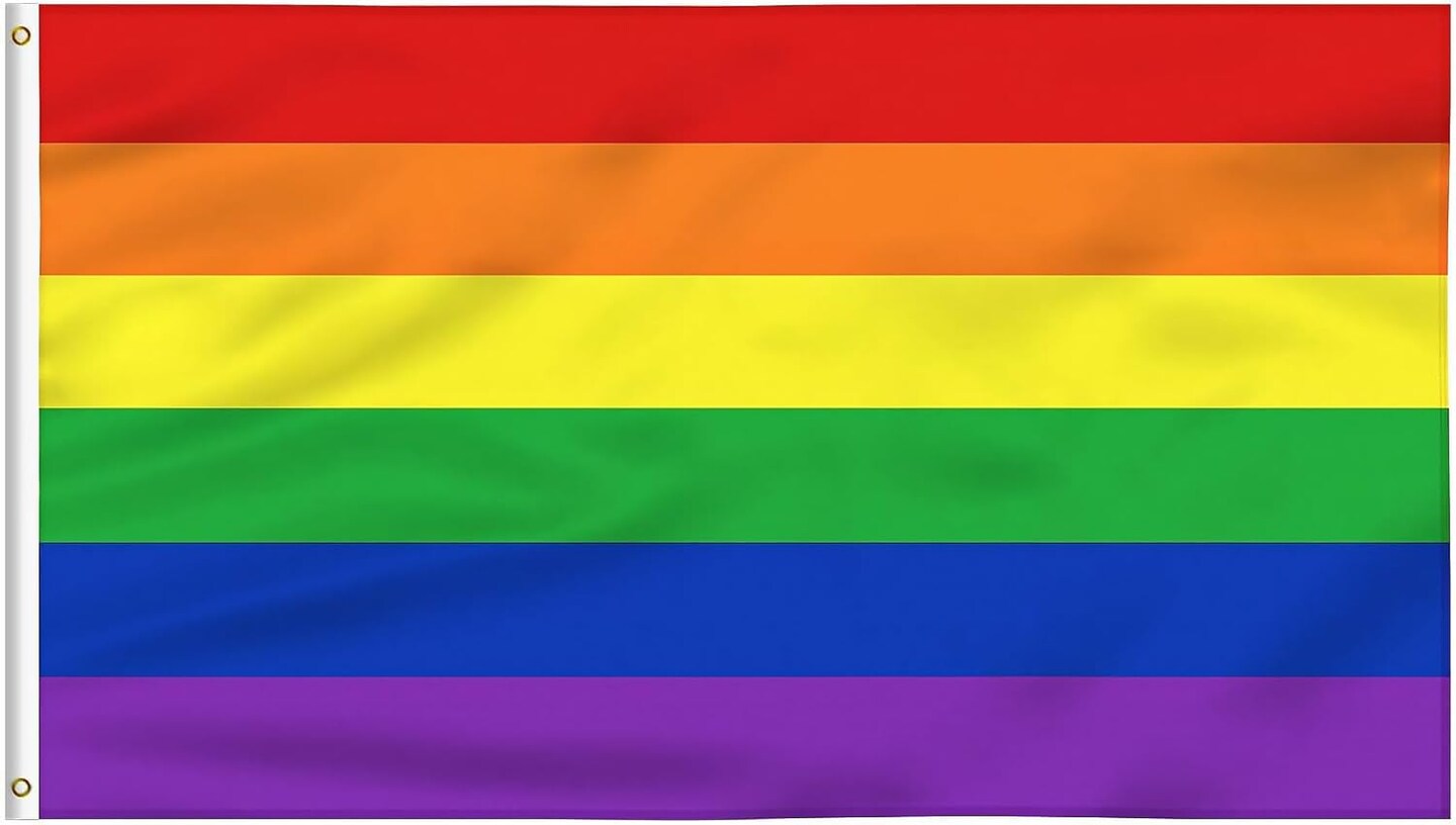 Pride Rainbow Flag 3x5 FT Outdoor Pride Bisexual LGBTQ Non Binary Lesbian Gay Transgender Pride Month Proculsexual Flag Banner Decoration for Parade Party