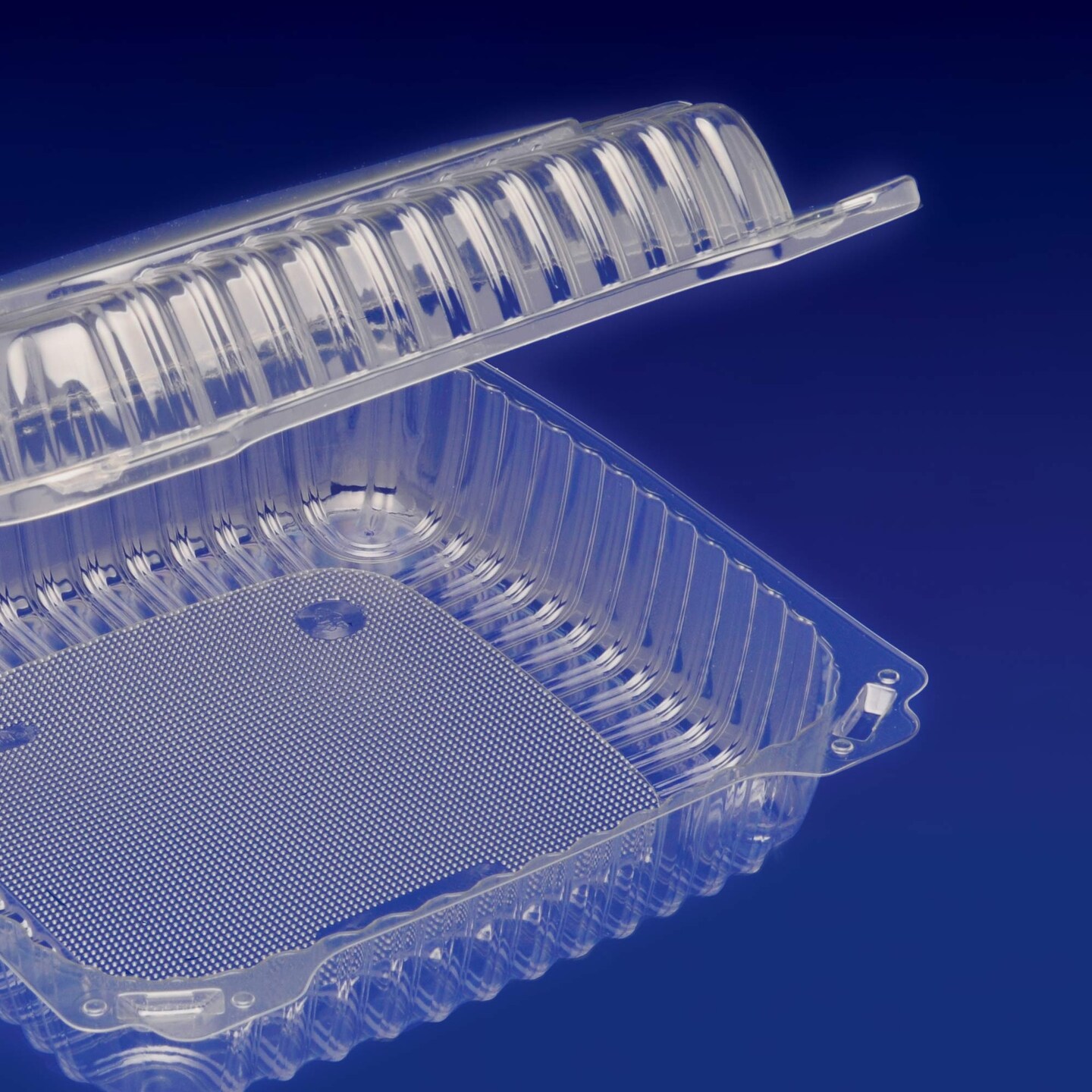 30 Count Disposable Clear Clamshell Containers 10x4 Inch