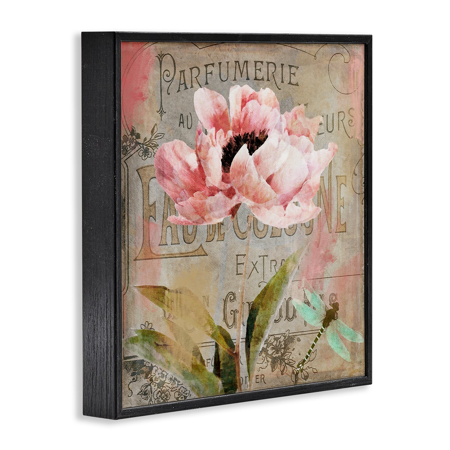 Stupell Industries French Vintage Blossom Framed Giclee Design by Sasha