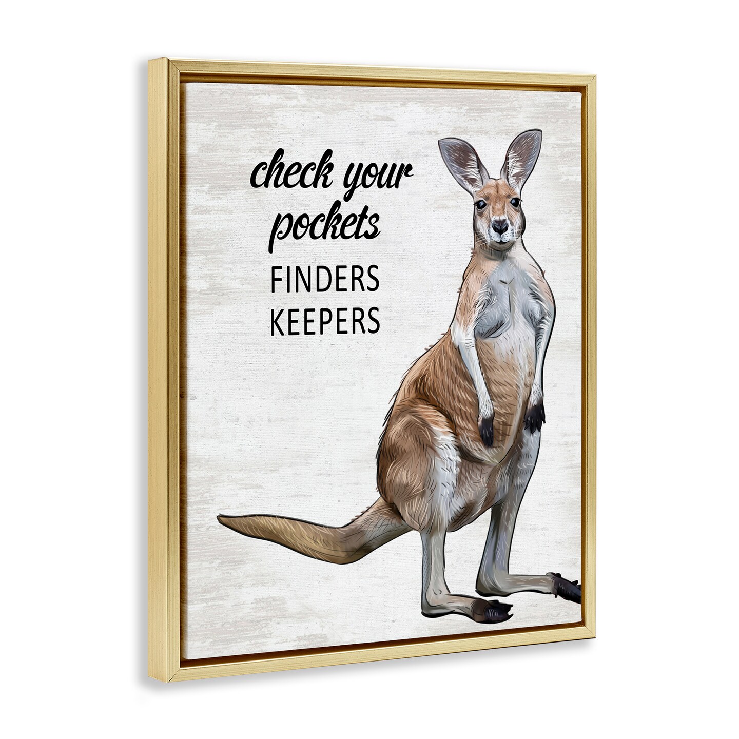 Stupell Industries Check Pockets Laundry Rule Floating Frame Design by Lettered and Lined