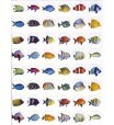 Glitter Fish Stickers 3/4" – 10 Sheets Pack of Sparkly Ocean Animal Stickers