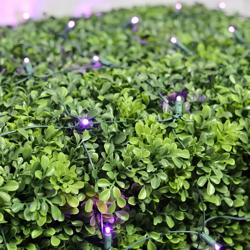 5mm 4&#x27; x 6&#x27; Purple LED Net Lights
