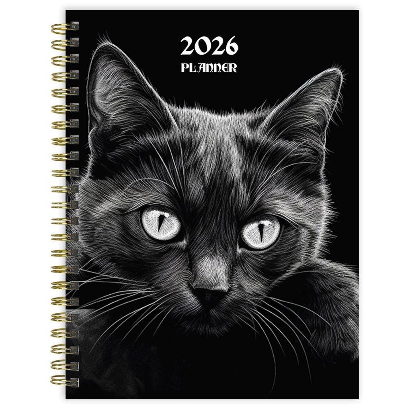 Edge Collections - 6.5" x 8" - Black - Witchy Black Cat Planner for Weekly and Monthly Organization - 1 Piece