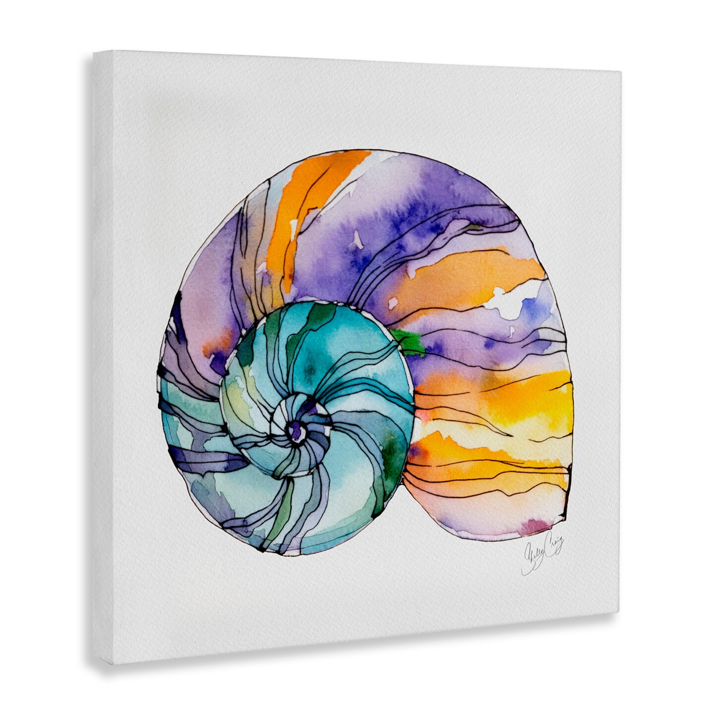 Stupell Industries Sunlit Striped Nautilus Canvas, design by Shelly Craig