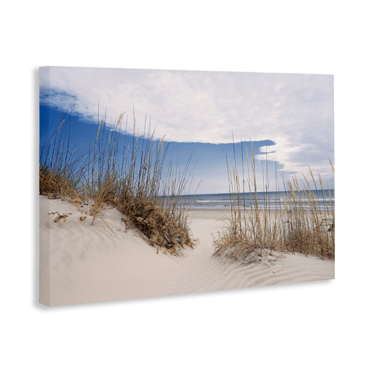 Stupell Industries Sea Oats Along Sandy Dunes Canvas, design by Natalie Carpentieri