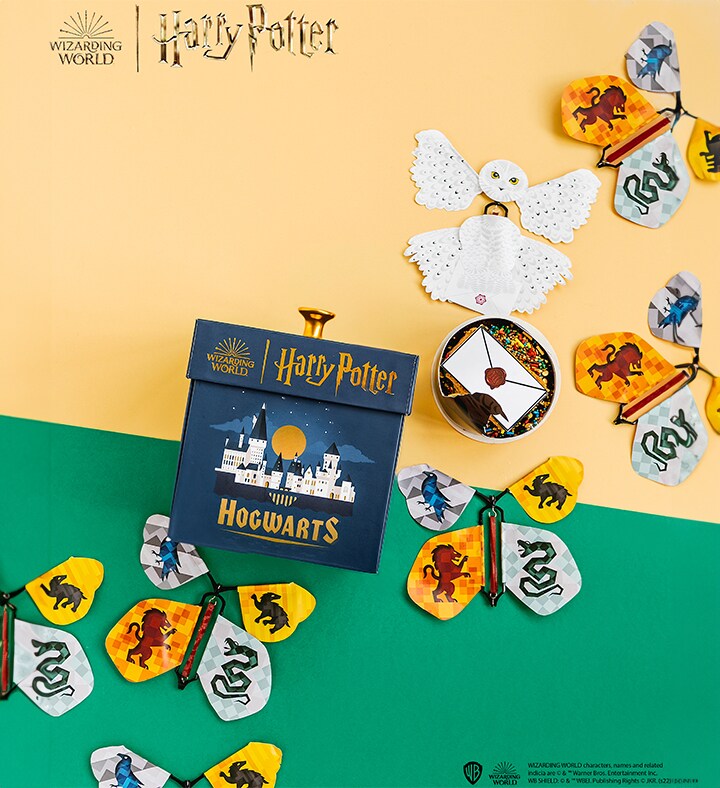 Harry Potter Hogwarts Explosion Box - Cake Treat Included