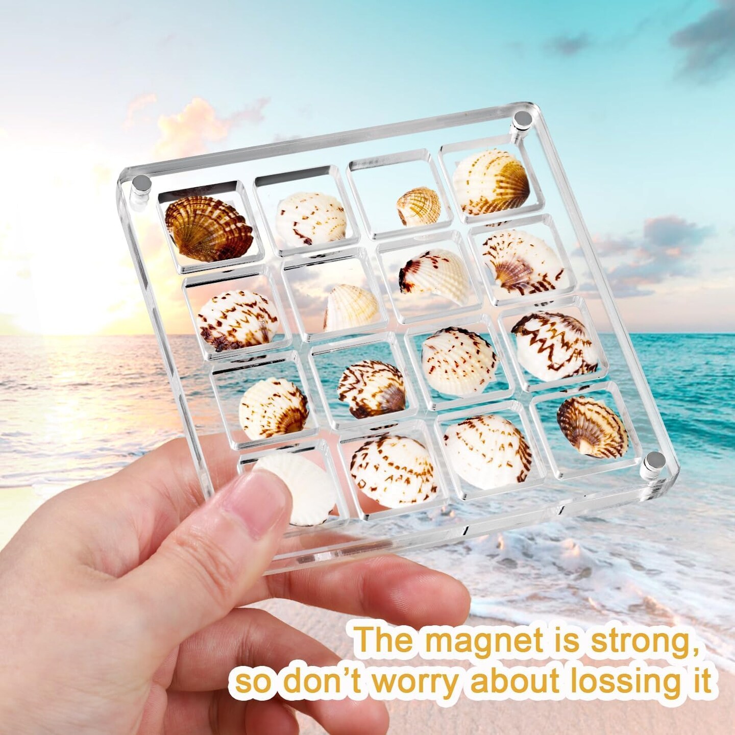Artlunar 16 Grids Square Clear Acrylic Shadow Boxes Mini Seashell Collection Display Box Shell Display Cases