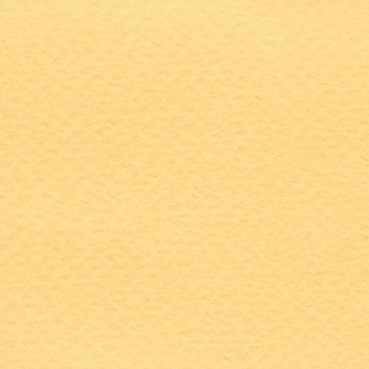 BEE | Pastel Paper Series