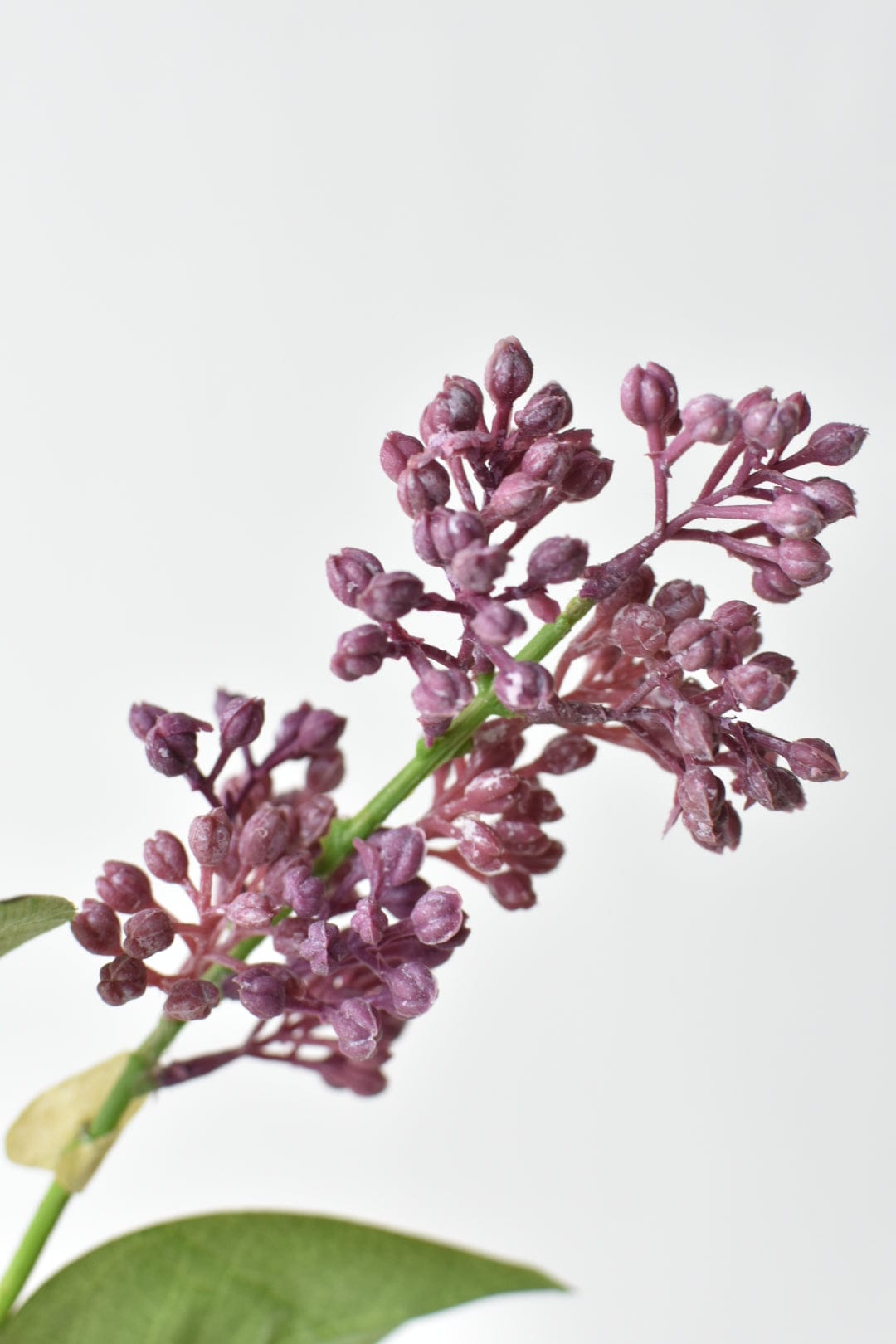 34.5&#x22; Faux Vibrant Pink/Purple Lilac Stem