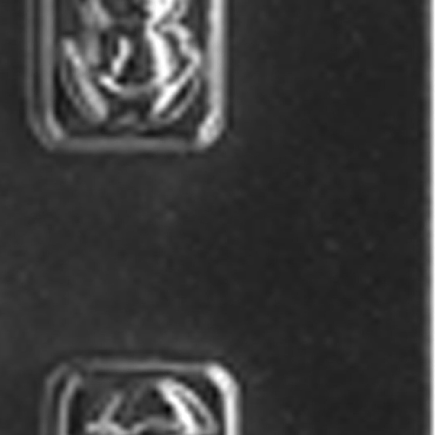 Assorted Chick Pieces Chocolate Mold