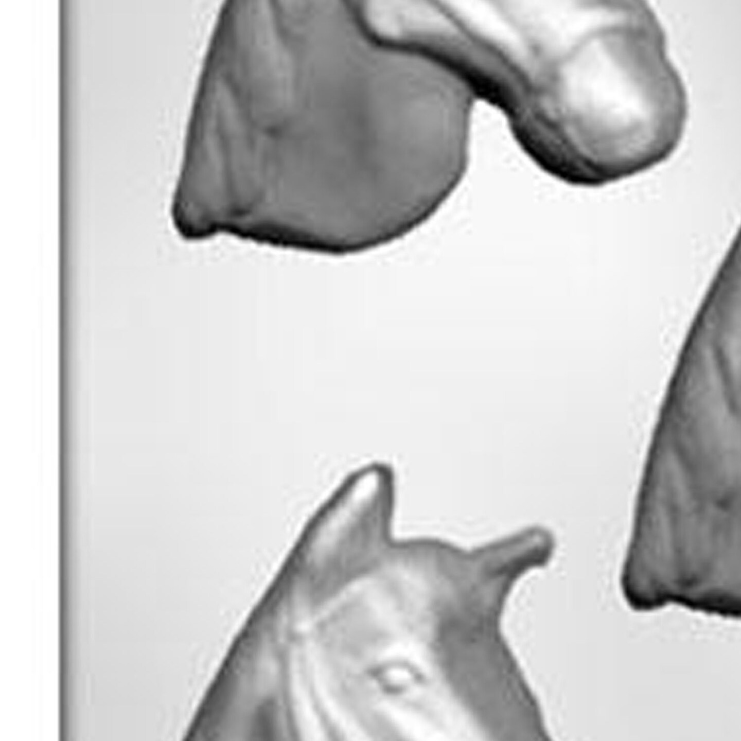 Horse Head Chocolate Mold