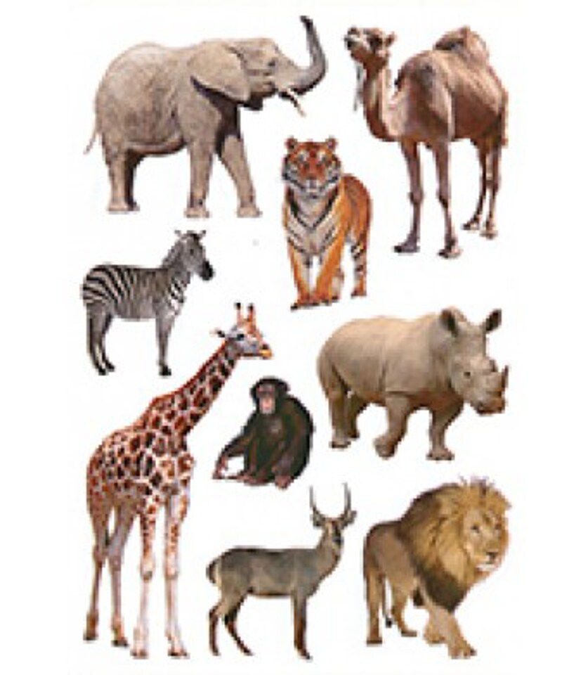 Zoo Animal Stickers – 90 Pack Colorful Animal Stickers for Classroom Rewards, Scrapbooking & Crafts