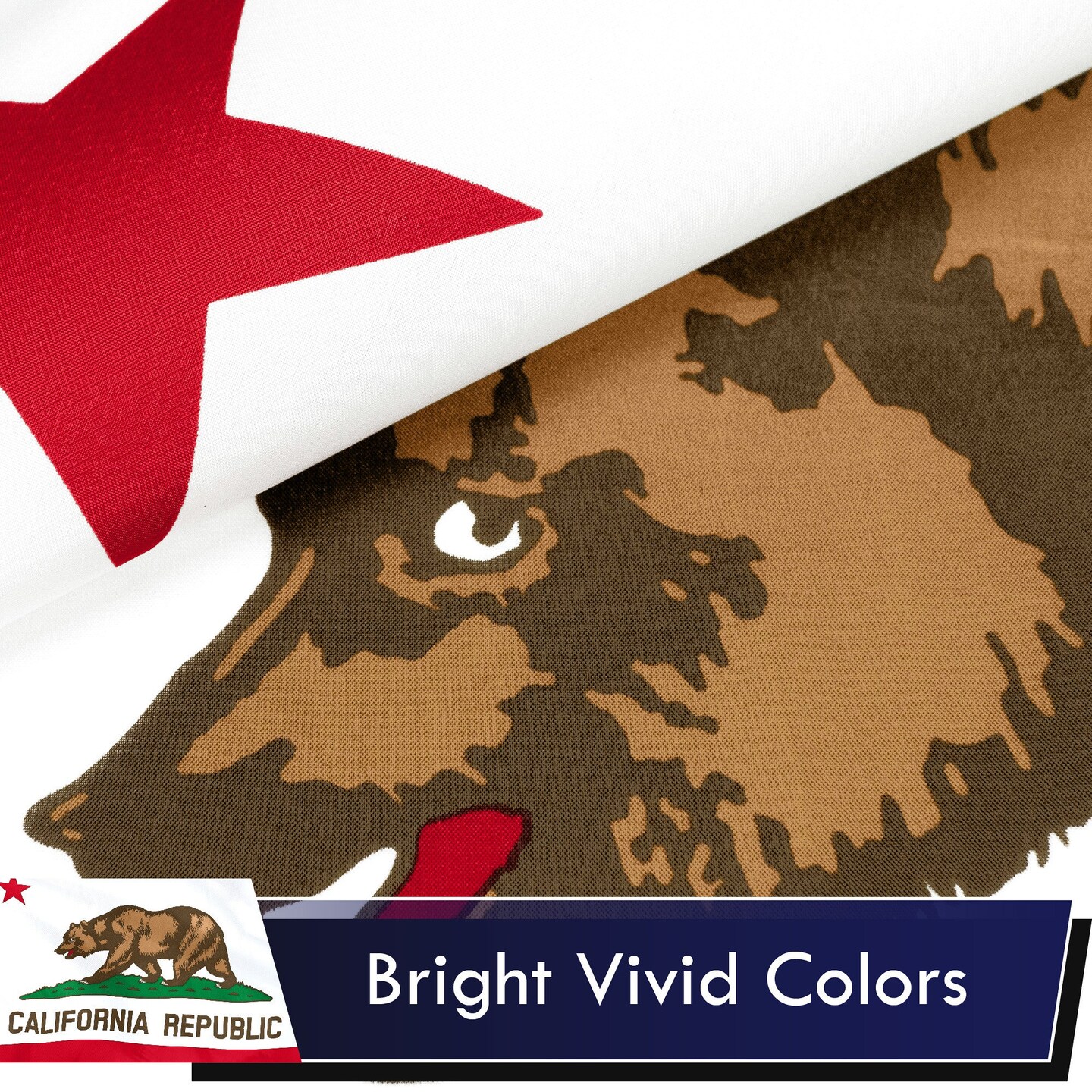 California CA State Flag 3x5 Ft 2-Pack Printed Polyester By G128