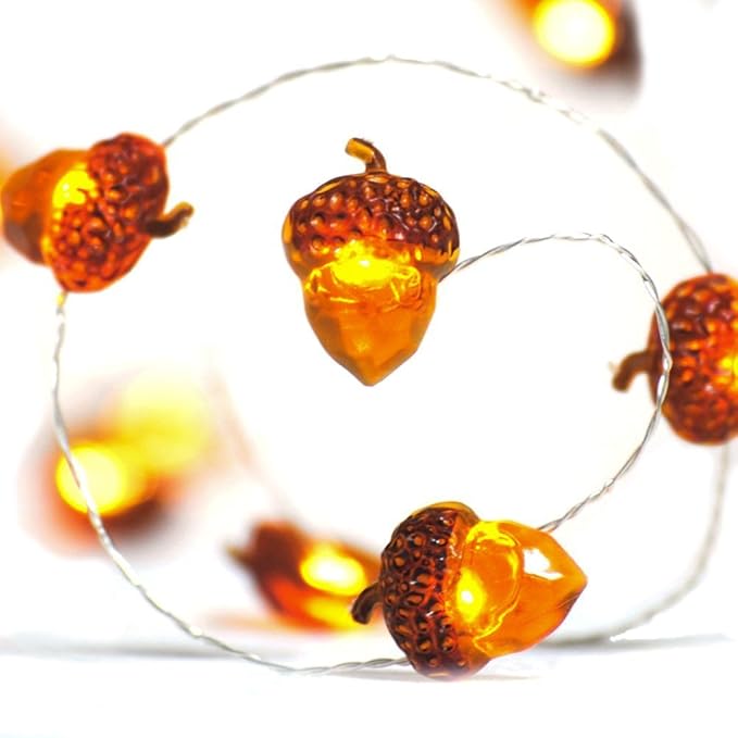 Thanksgiving Decorations Acorn Lights String 10ft 40 LEDs Fairy String Lights Battery Operated with Remote Fall Lights for Home Autumn Garland Bedroom Christmas Tree Halloween Party Decor