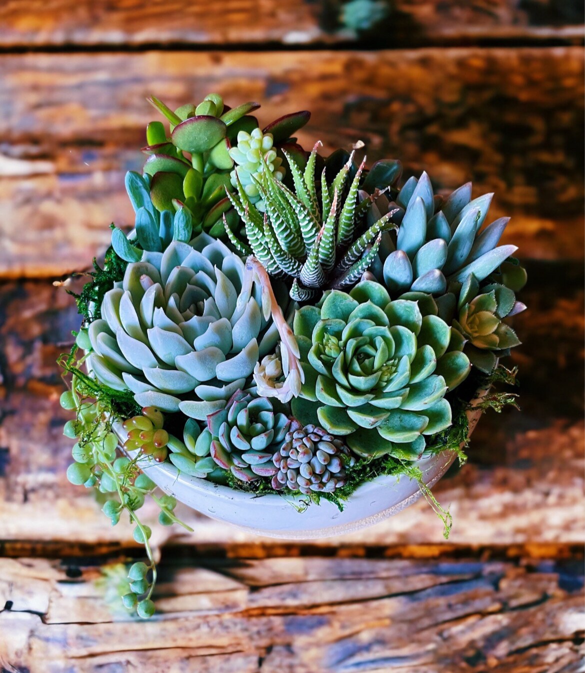 where can i buy plant pots Buy Big Sonoma Planter Set of 4 in Clay 22.0