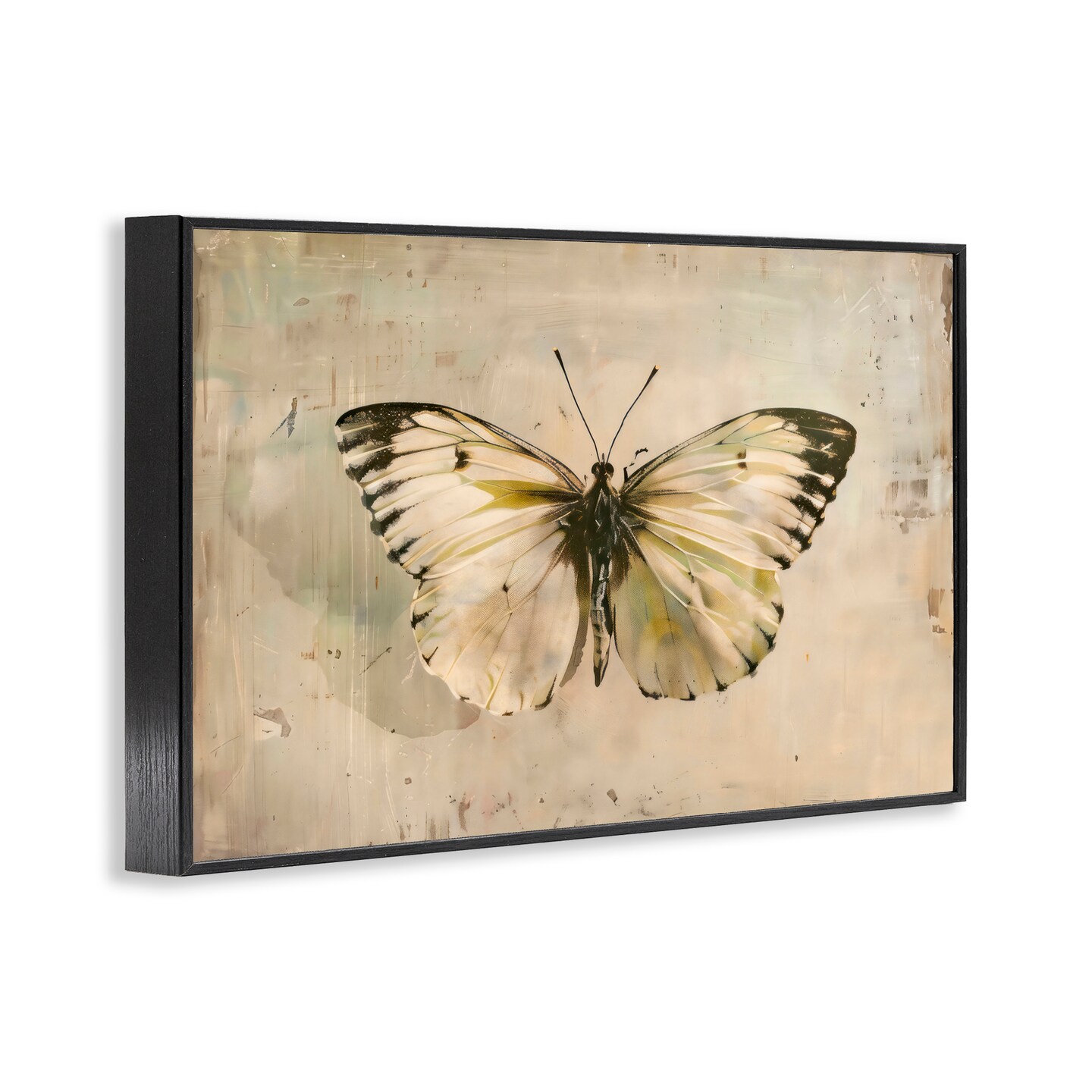 Stupell Industries Graceful Vintage Butterfly Black Framed Giclee Art, design by Creative Studio