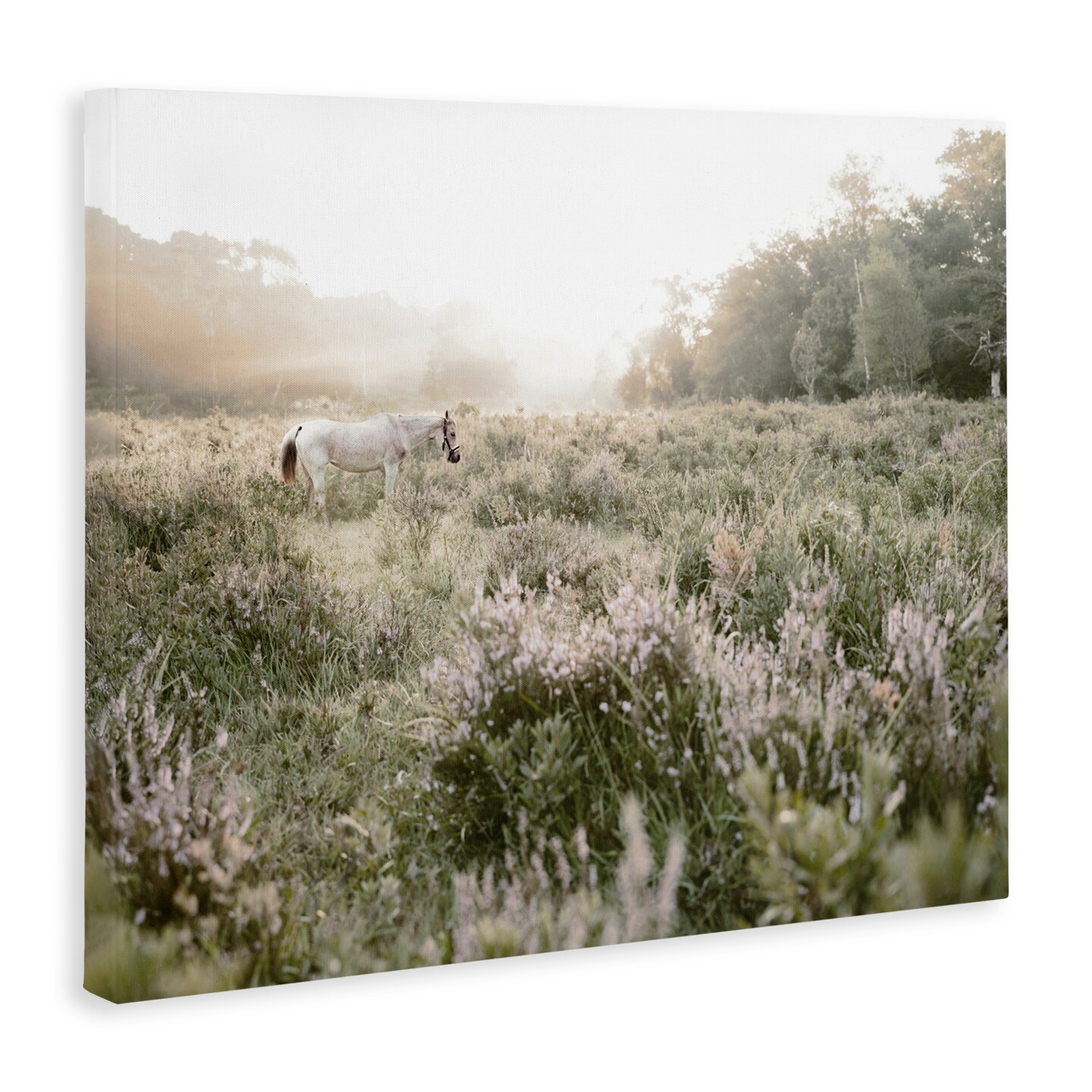 Stupell Industries Misty Sunset Horse Canvas Wall Art, design by Leah Straatsma