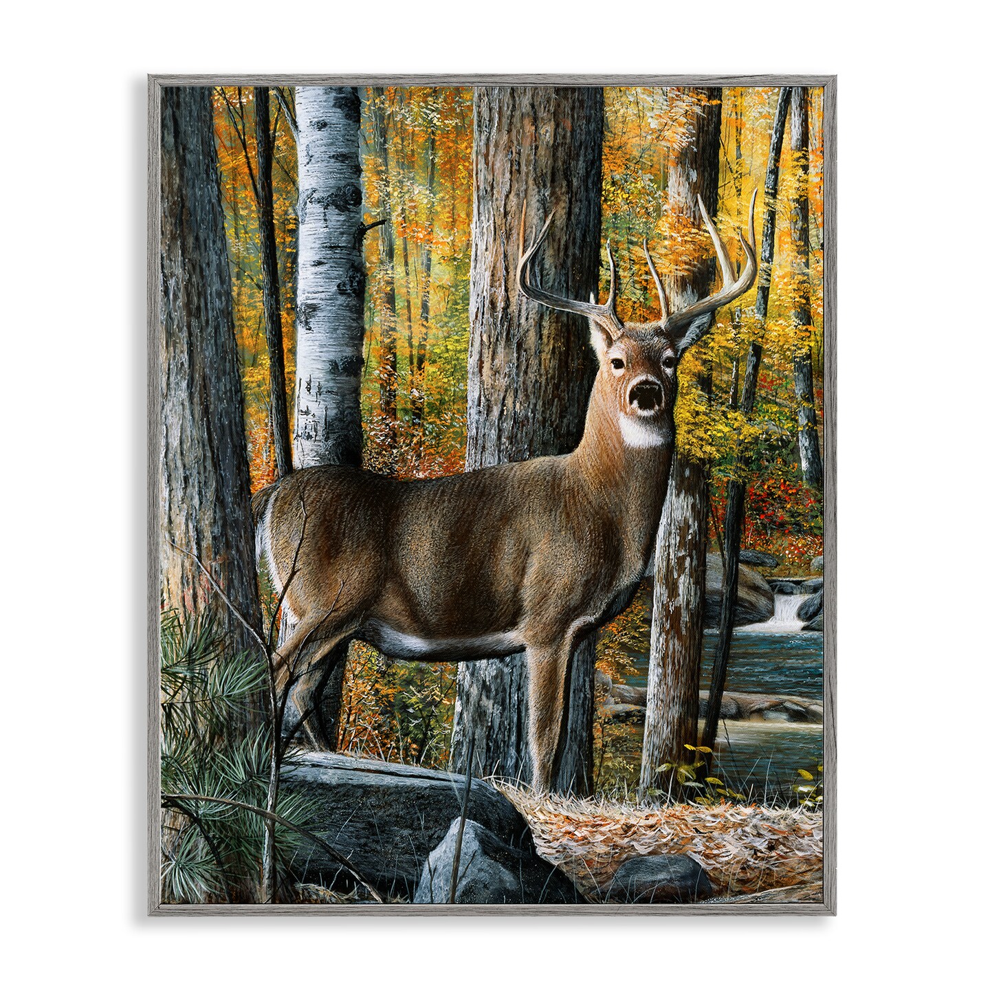 Deer Among Autumn Foliage Framed Giclee Art, Size: 11 x 14, Color
