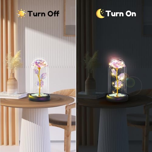 Rose Mothers Day Flowers Gifts for Mom from Daughter Son, Birthday Gifts for Women Wife Mom Grandma Nana, Light Up Rose Flowers in Glass Dome, Gifts for Teacher Mother&#x27;s Day Anniversary