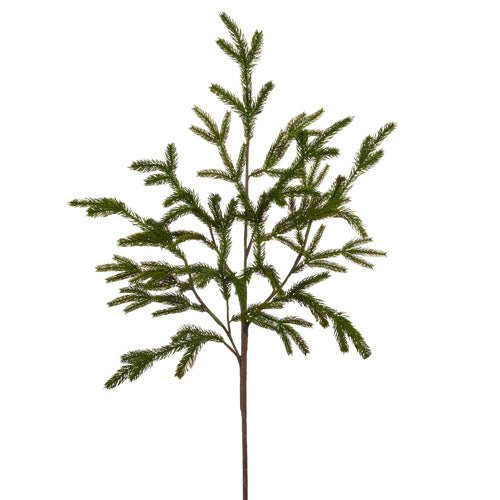 36&#x22; Norfolk Pine Branch