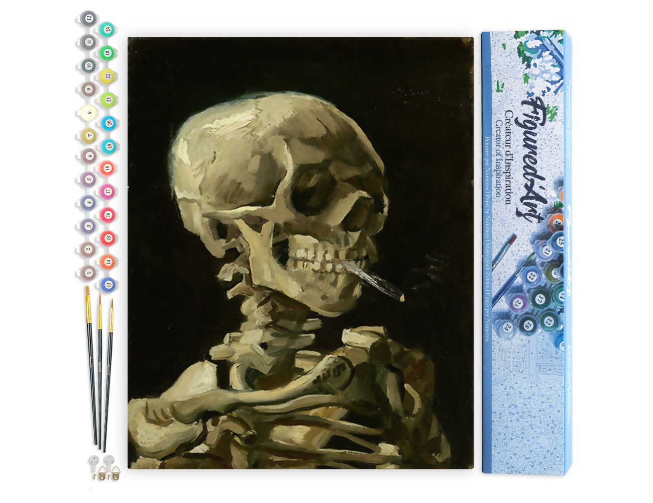 Figured'Art Paint by Numbers Kit for Adults Skull 16"x20" - Craft Art Painting DIY Kit Rolled Canvas without frame