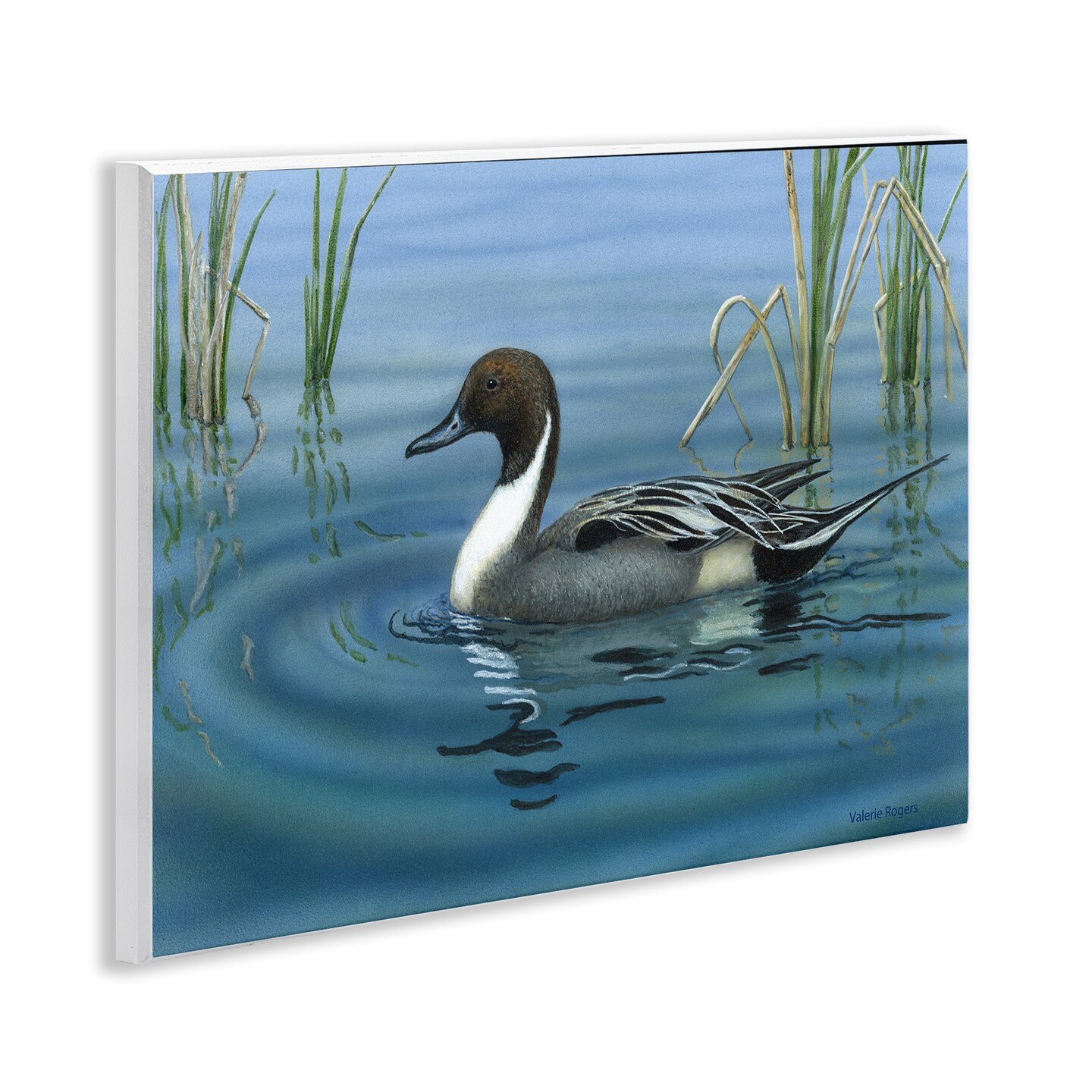 Stupell Industries Pintail Loon in Pond Wall Plaque Art Design by Valerie Rogers