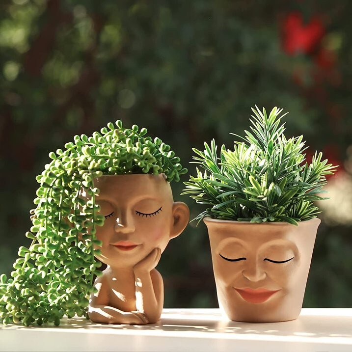 2pcs Cute Head Face Planters Pots Succulent Planter w/ Drainage Hole Home Decor