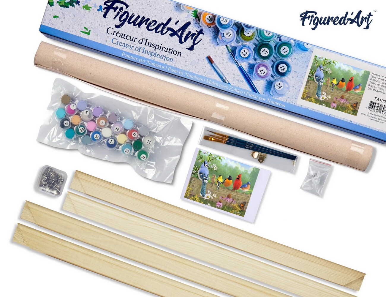 Figured'Art Paint by Numbers Kit for Adults Birds On A Fence 16"x20" - Craft Art Painting Rolled Canvas with DIY wooden frame