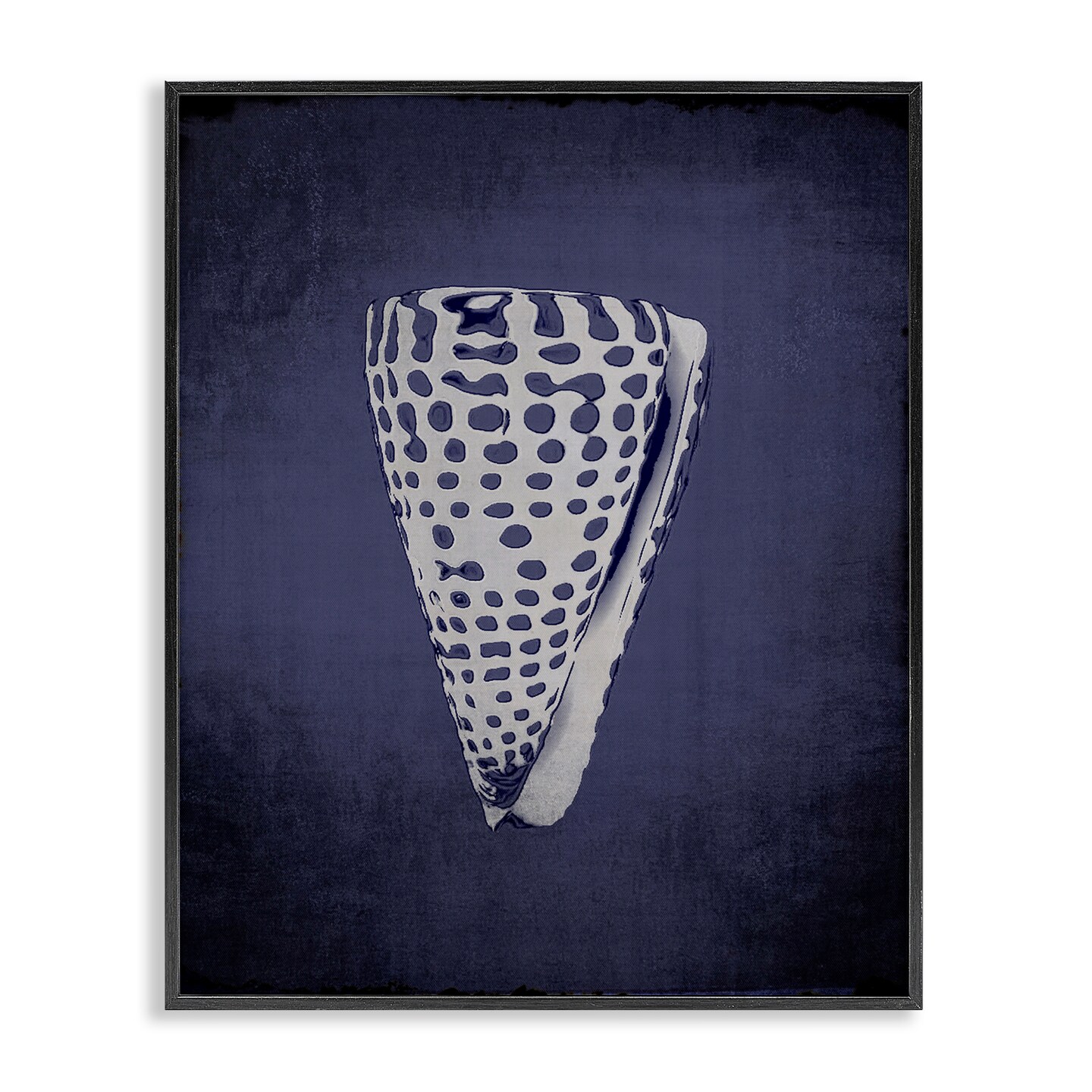 Stupell Industries Nautical Cone Shell Framed Giclee Wall Art Design by Graffi*tee Studios
