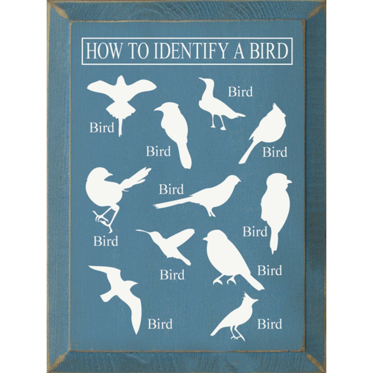 Solid Knotty Pine Bird Identification Sign - Wall Decor with Bird Images