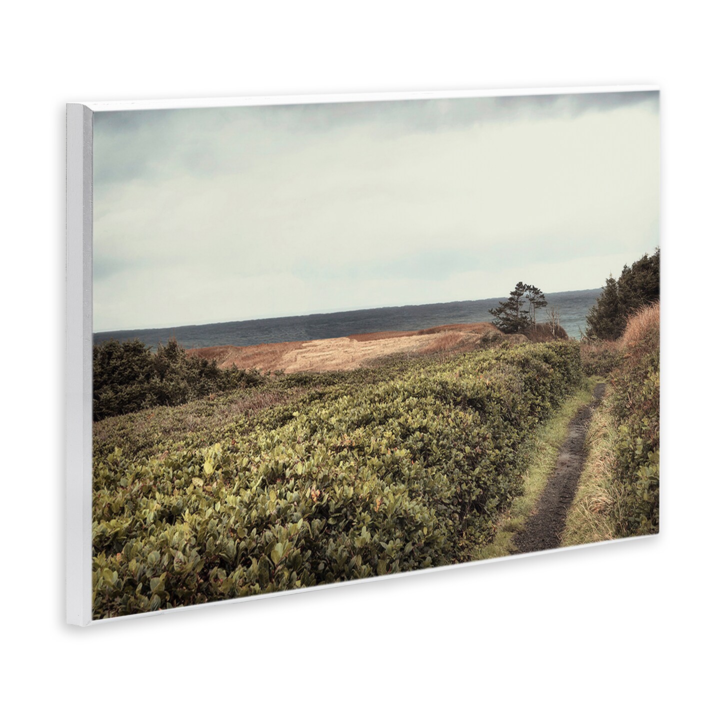 Stupell Industries Serene Coastal Pathway Wall Plaque Art Design by Andy Amos