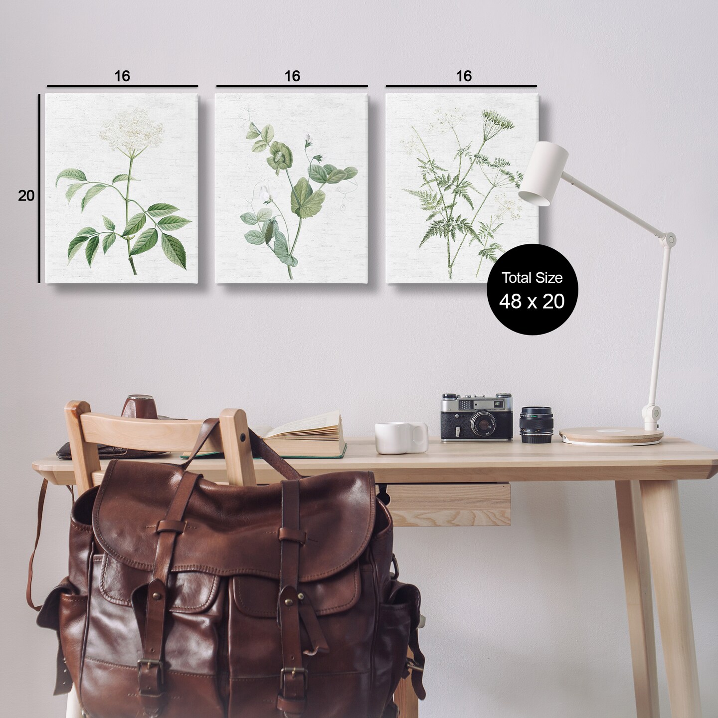 Stupell Industries Soft White Botanicals 3pc Canvas Wall Art Set Design by Lettered and Lined