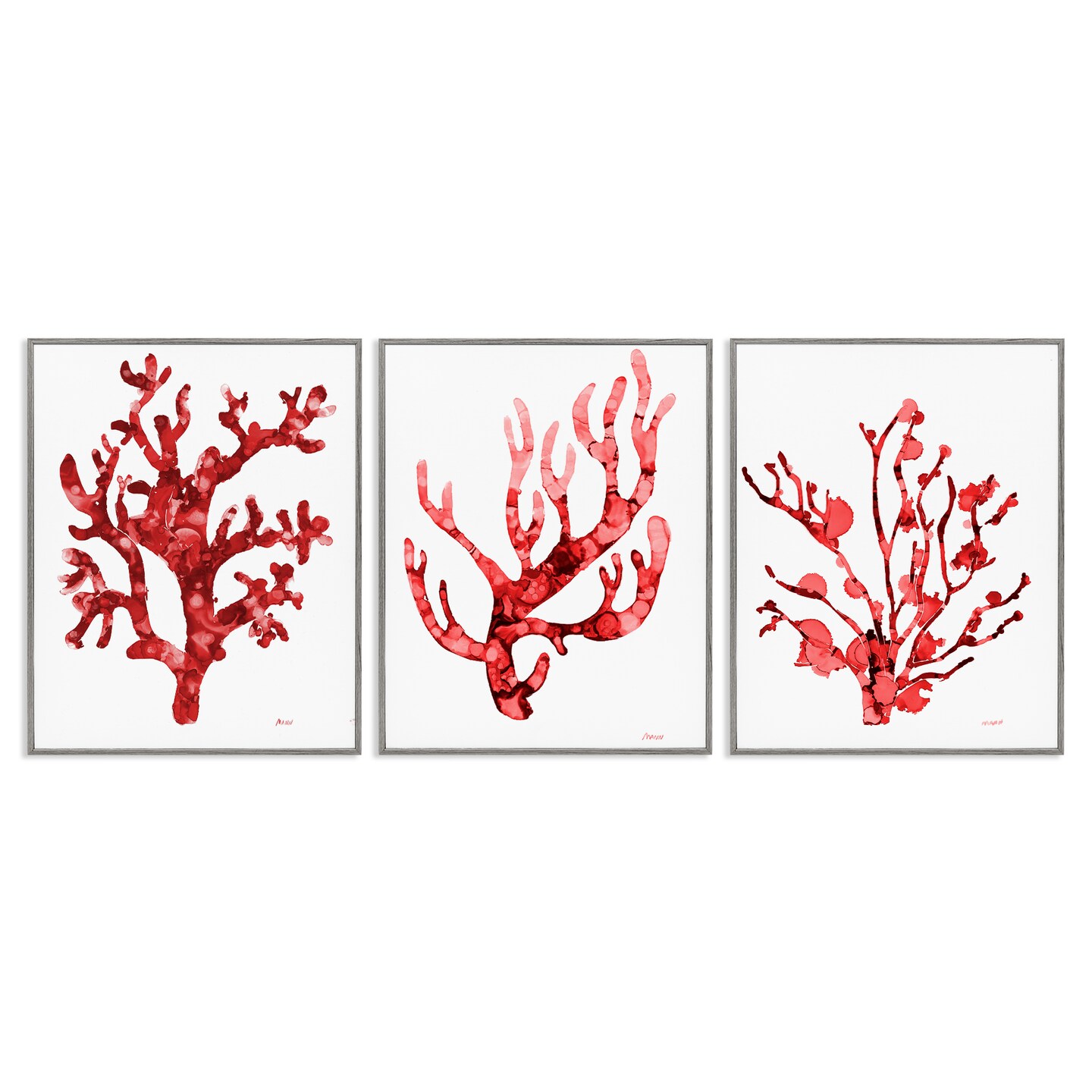 Stupell Industries Bold Red Coral 3pc Framed Giclee Wall Art Set Design by Patti Mann