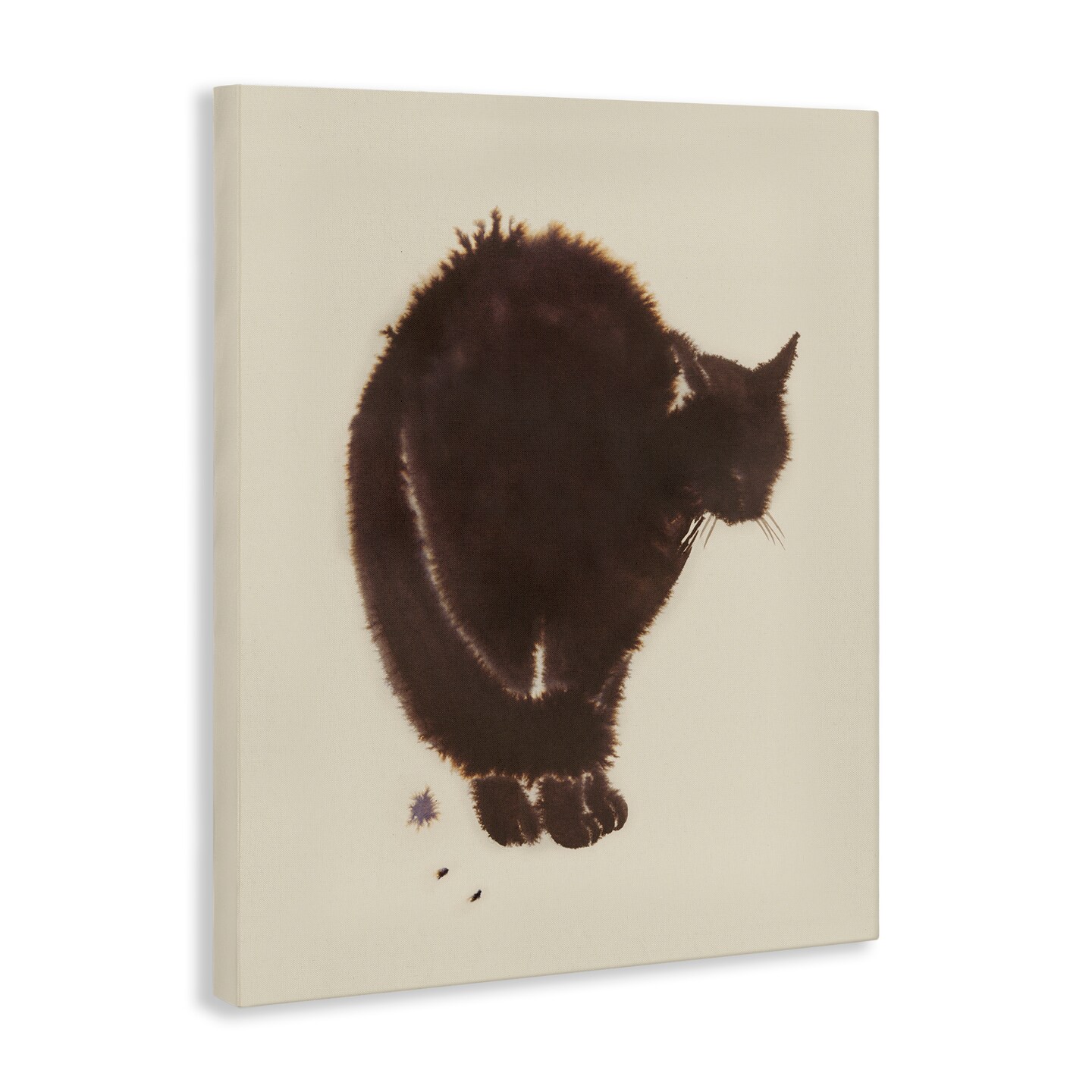 Stupell Industries Minimal Cat on Beige Canvas Wall Art Design by Grace Popp 