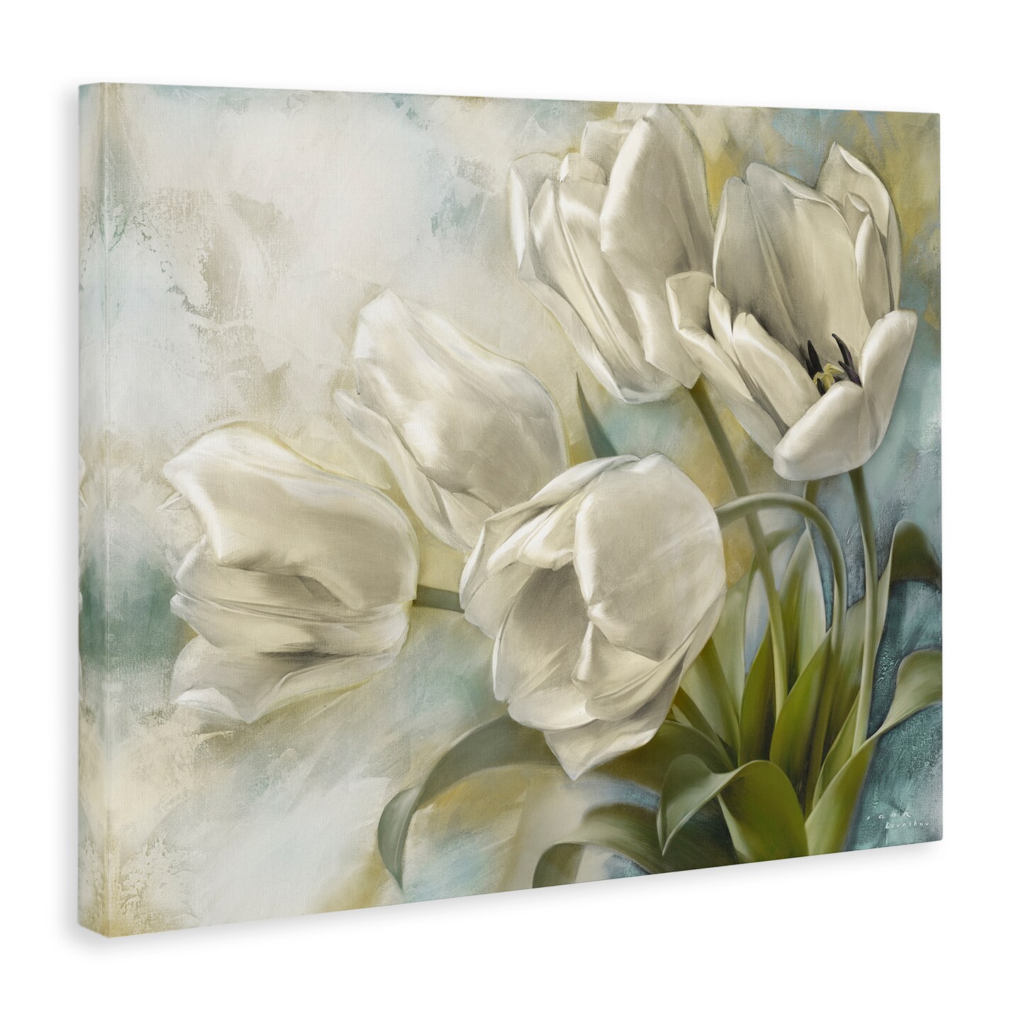 Stupell Industries Curling Tulip Blooms Canvas Wall Art Design by Igor Levashov