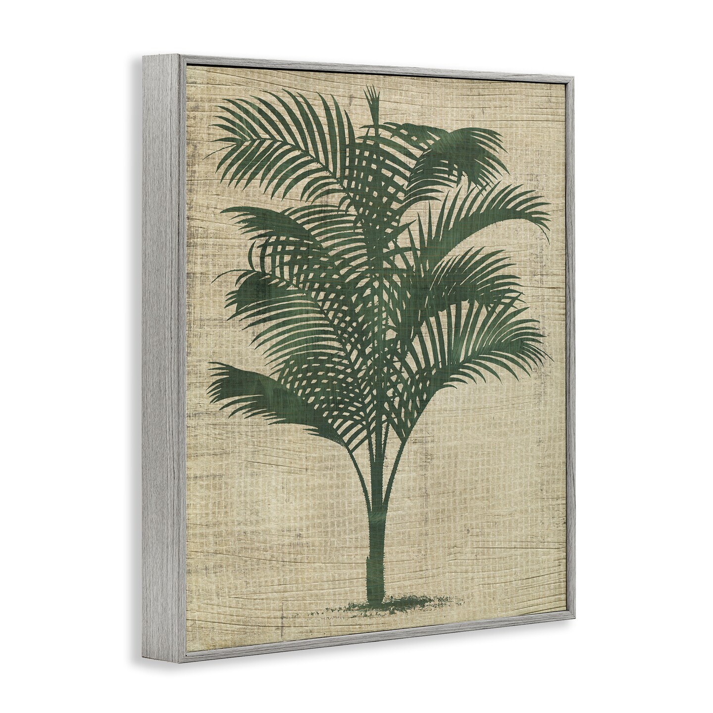 Stupell Industries Vintage Palm Plant Framed Giclee Wall Art Design by June Erica Vess