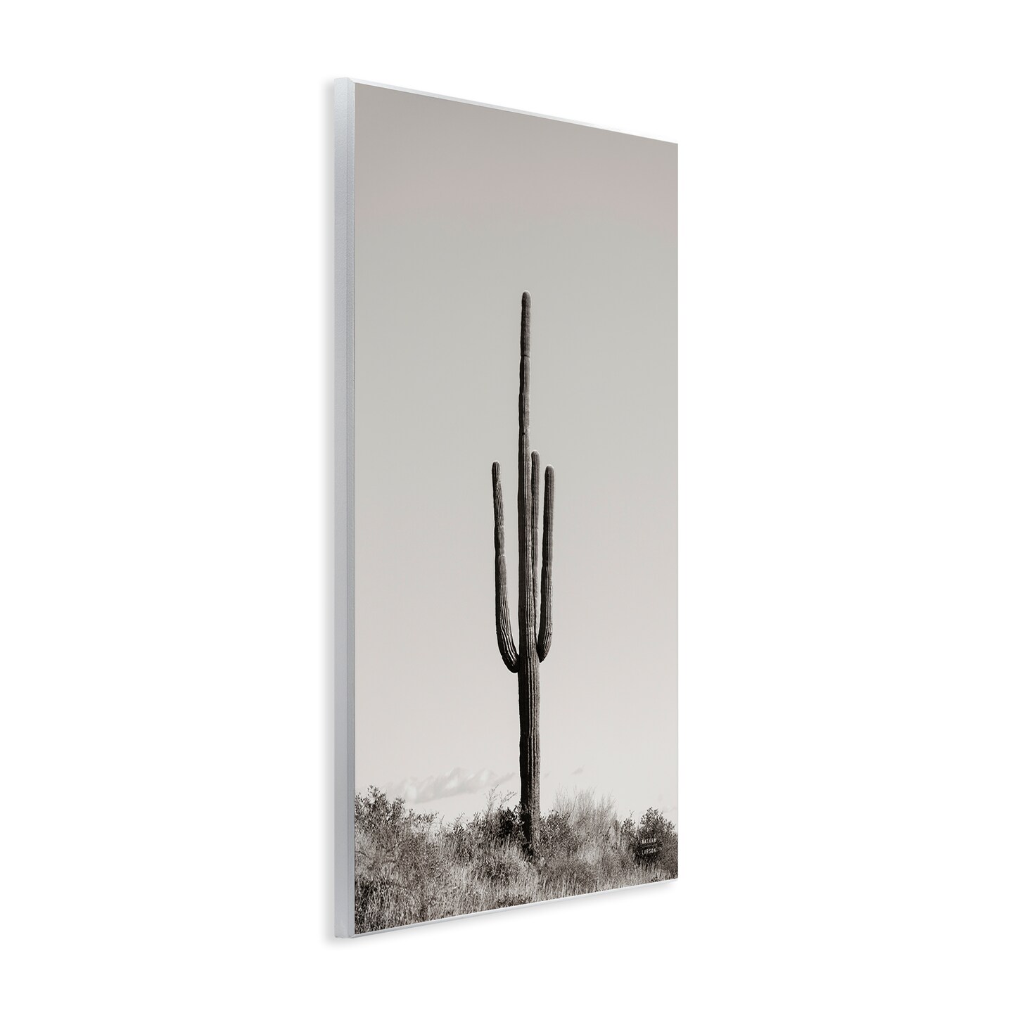 Stupell Industries Clear Afternoon Cactus Wall Plaque Art Design by Nathan Larson