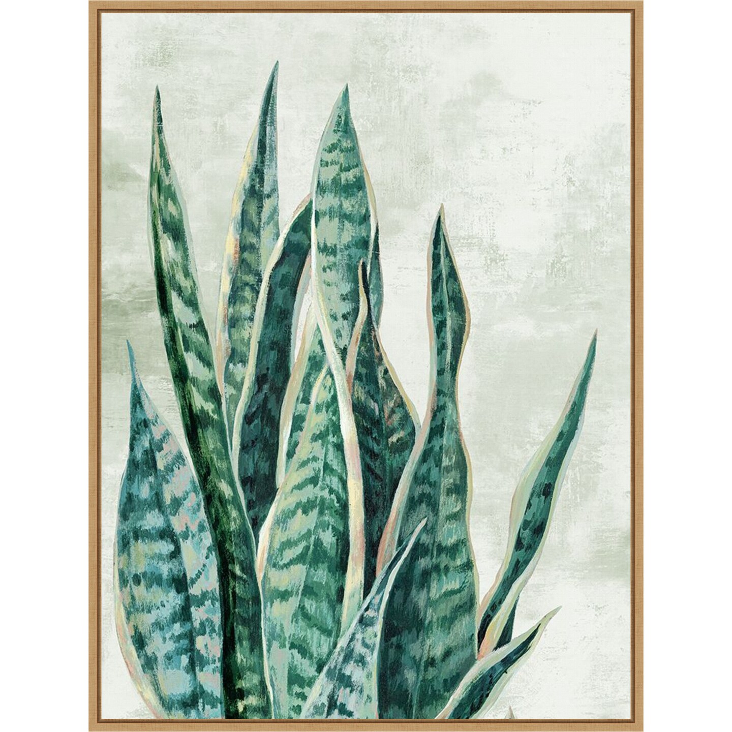 Reaching Snake Plant by PI Studio Framed Canvas Wall Art