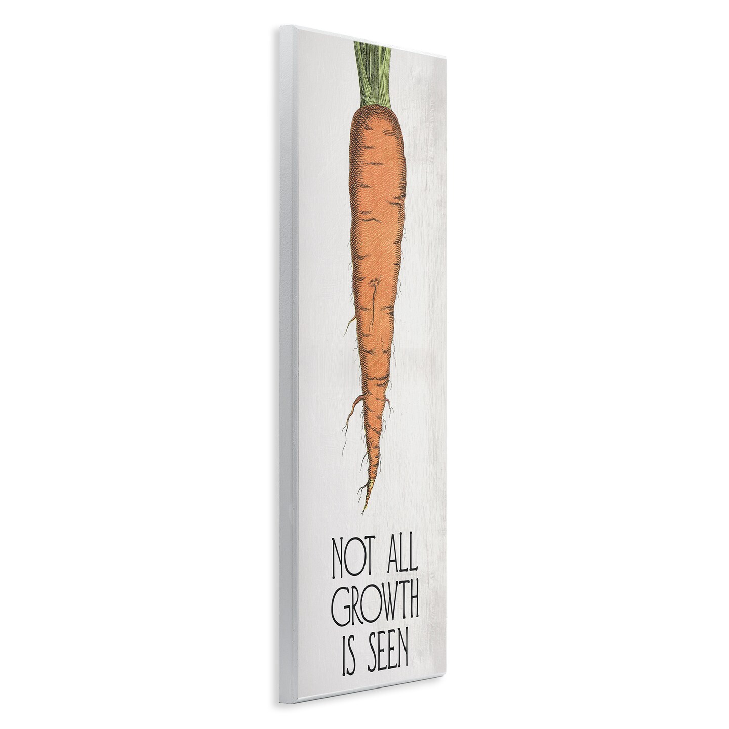 Stupell Industries Carrot & Inspiring Growth Wall Plaque Art Design by Daphne Polselli