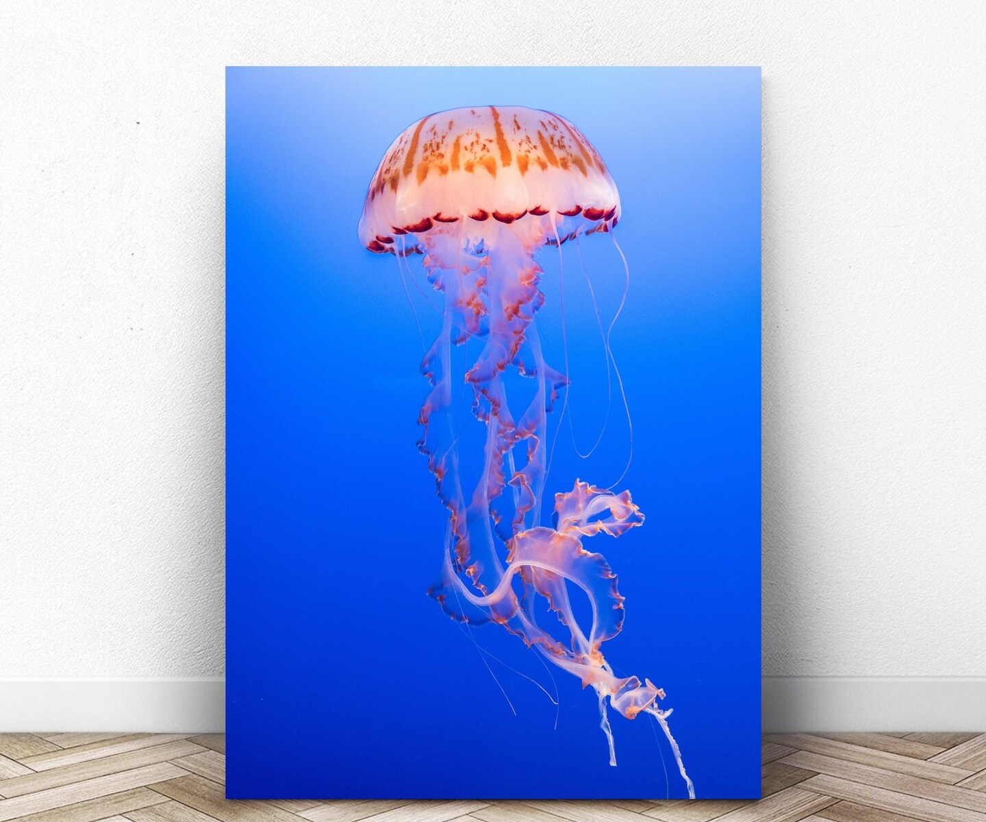 Jellyfish Classic Framed Canvas Prints Ocean wall art Landscape