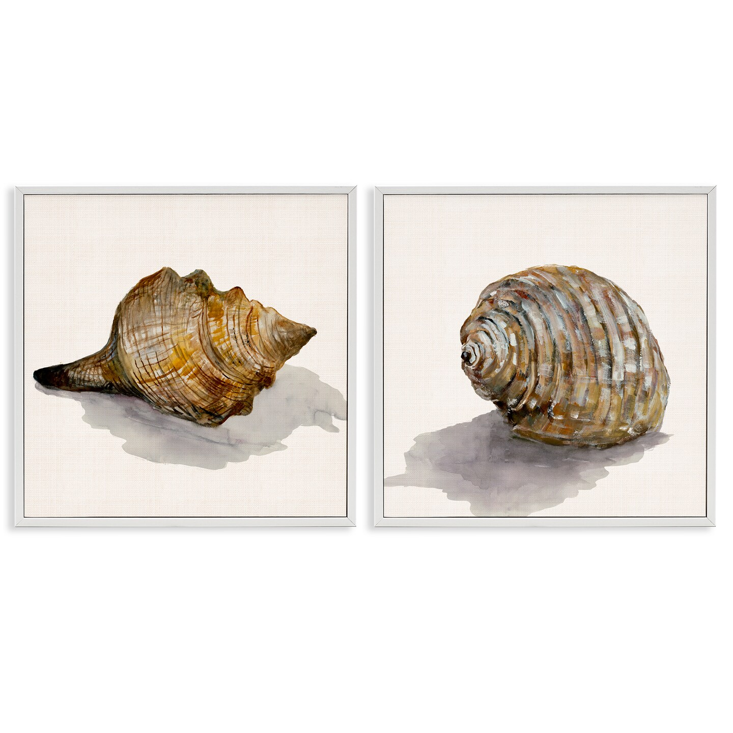 Stupell Industries Neutral Beach Shells 2pc Framed Giclee Wall Art Set Design by Jacob Q