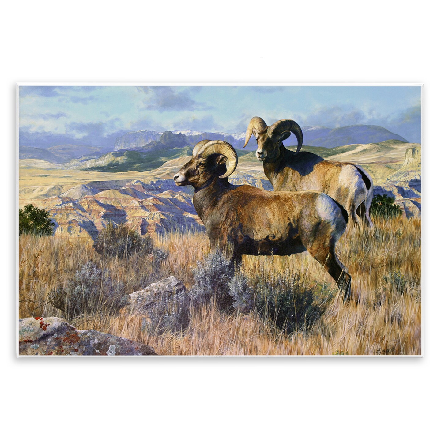 Stupell Industries Wild Rams Torrey Canyon Wall Plaque Art Design by Mark Kelso