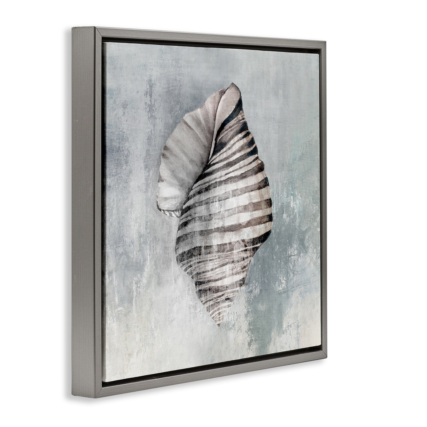 Stupell Industries Organic Twisted Seashell Floater Framed Canvas Wall Art Design by Eli Jones