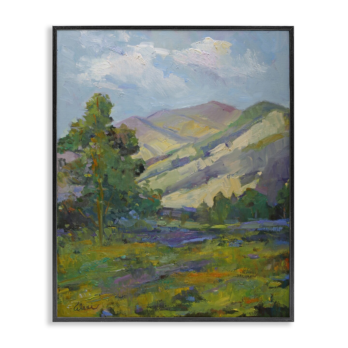 Stupell Industries Spring Day Mountain Framed Giclee Wall Art Design by Alexi Fine