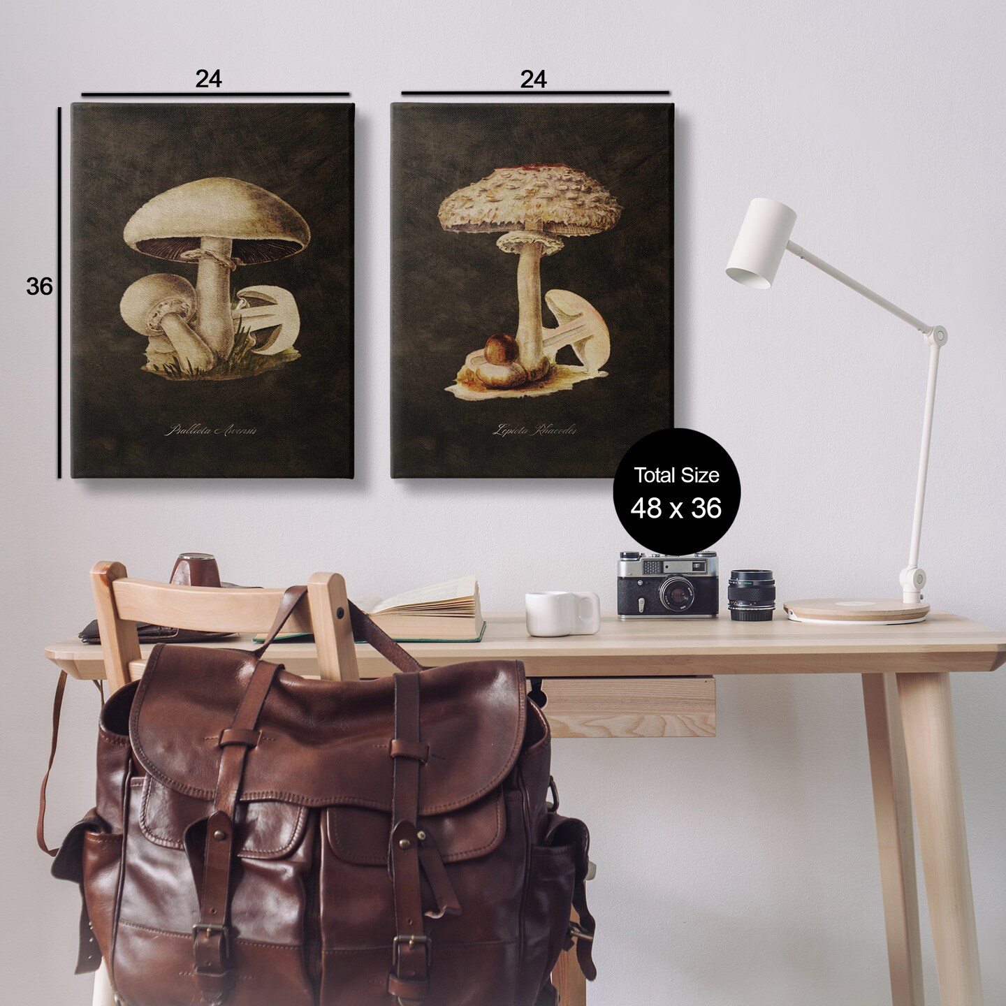 Stupell Industries Vintage Mushrooms on Black 2pc Canvas Wall Art Set Design by Tina Higgins Designs, Inc.