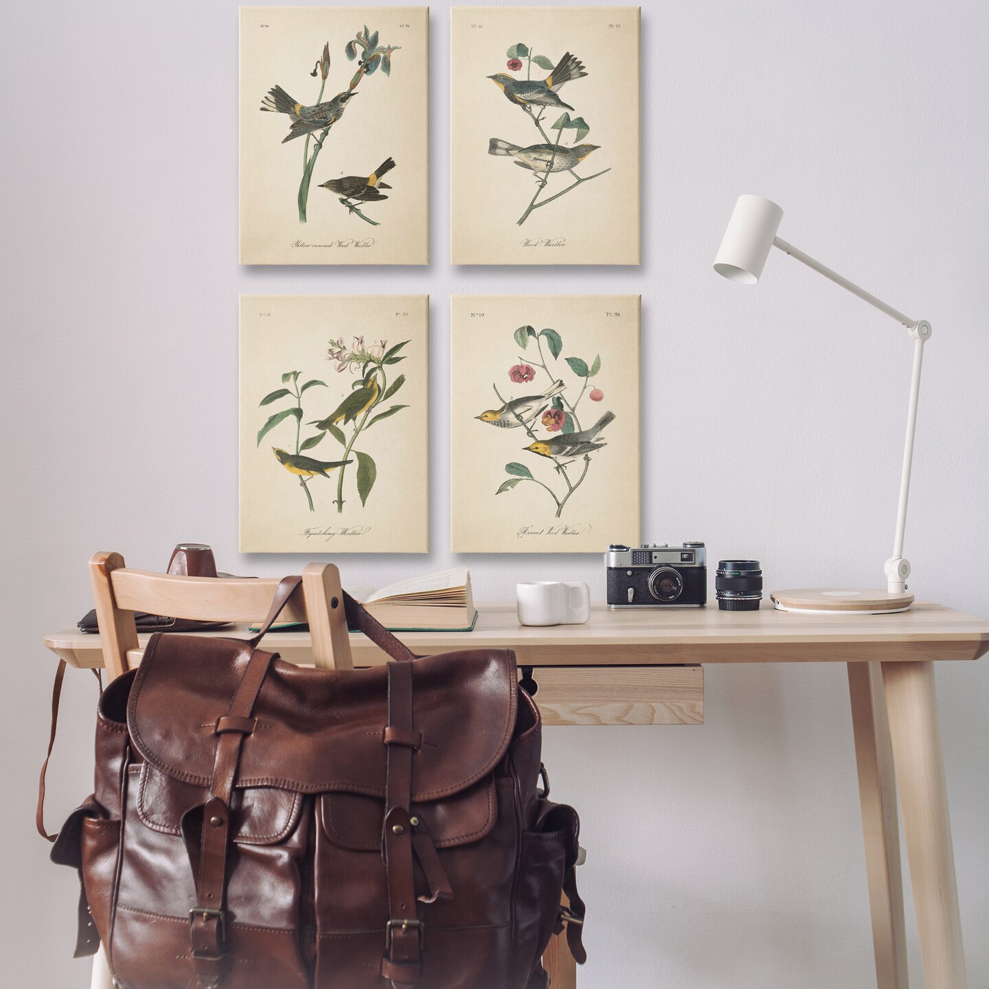 Stupell Industries Vintage Study Birds & Plants 4pc Canvas Wall Art Set Design by Wild Apple Portfolio